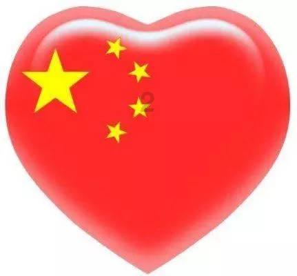 可怜猫的救援